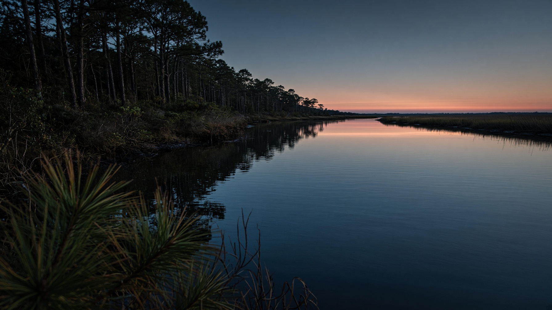 Coastal pine hammock and still water at dusk