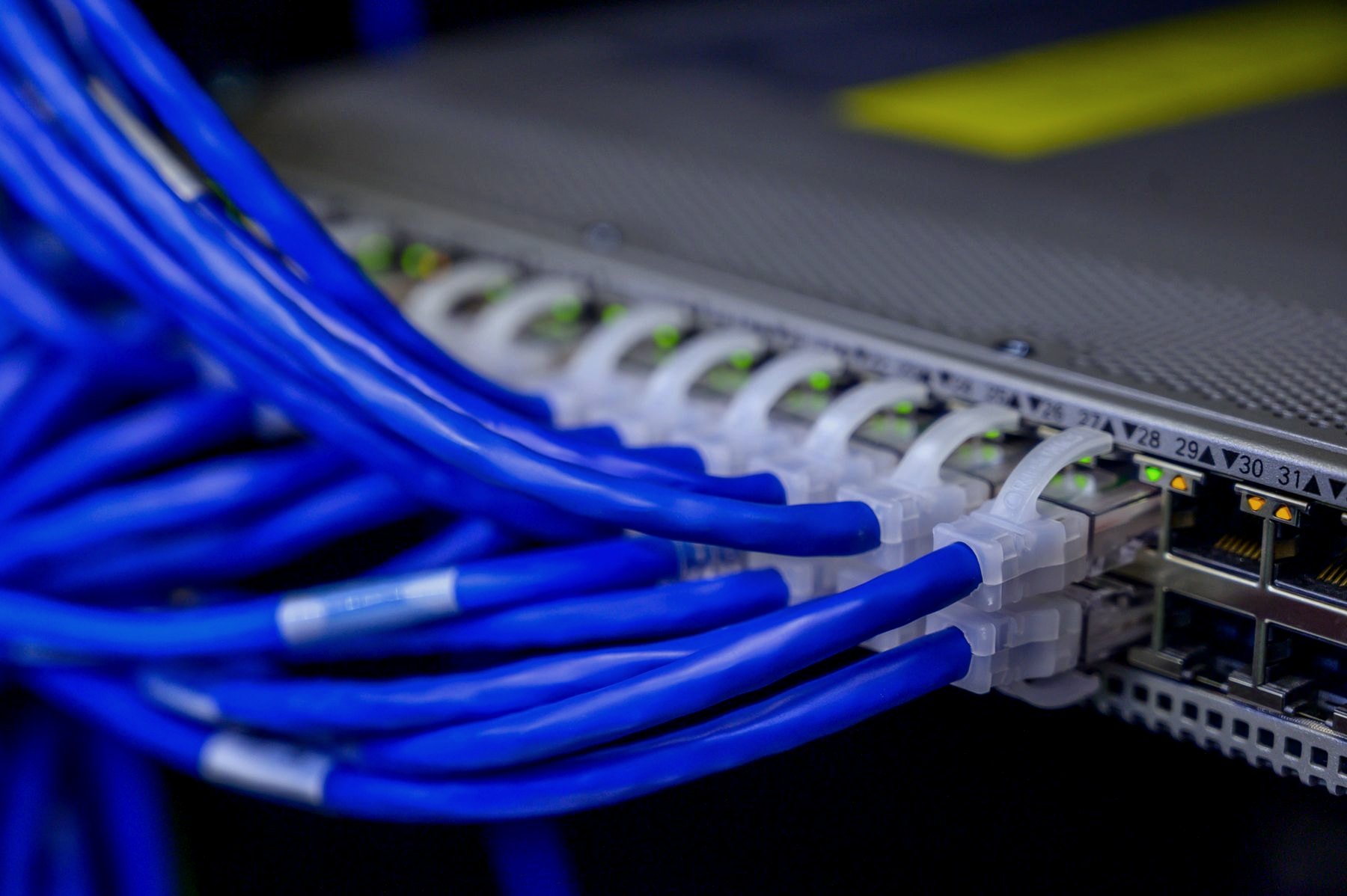 Ethernet cables in a production network switch